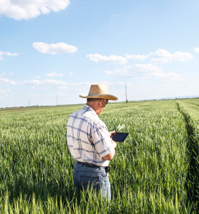 Agribusiness Digital Transformation and Sustainability