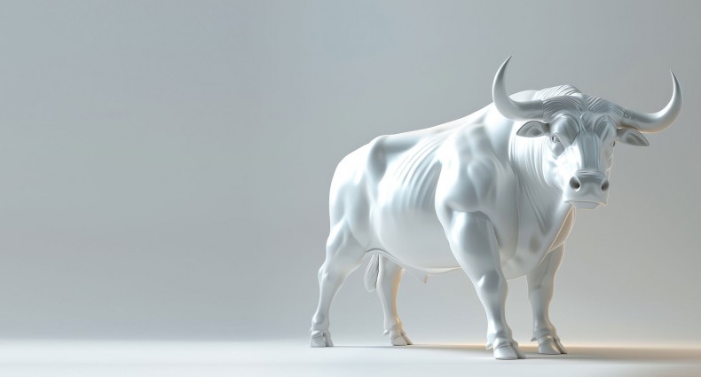 bull-ampersand-world-commodity-job