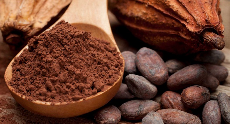 cercle-cyclope-cocoa