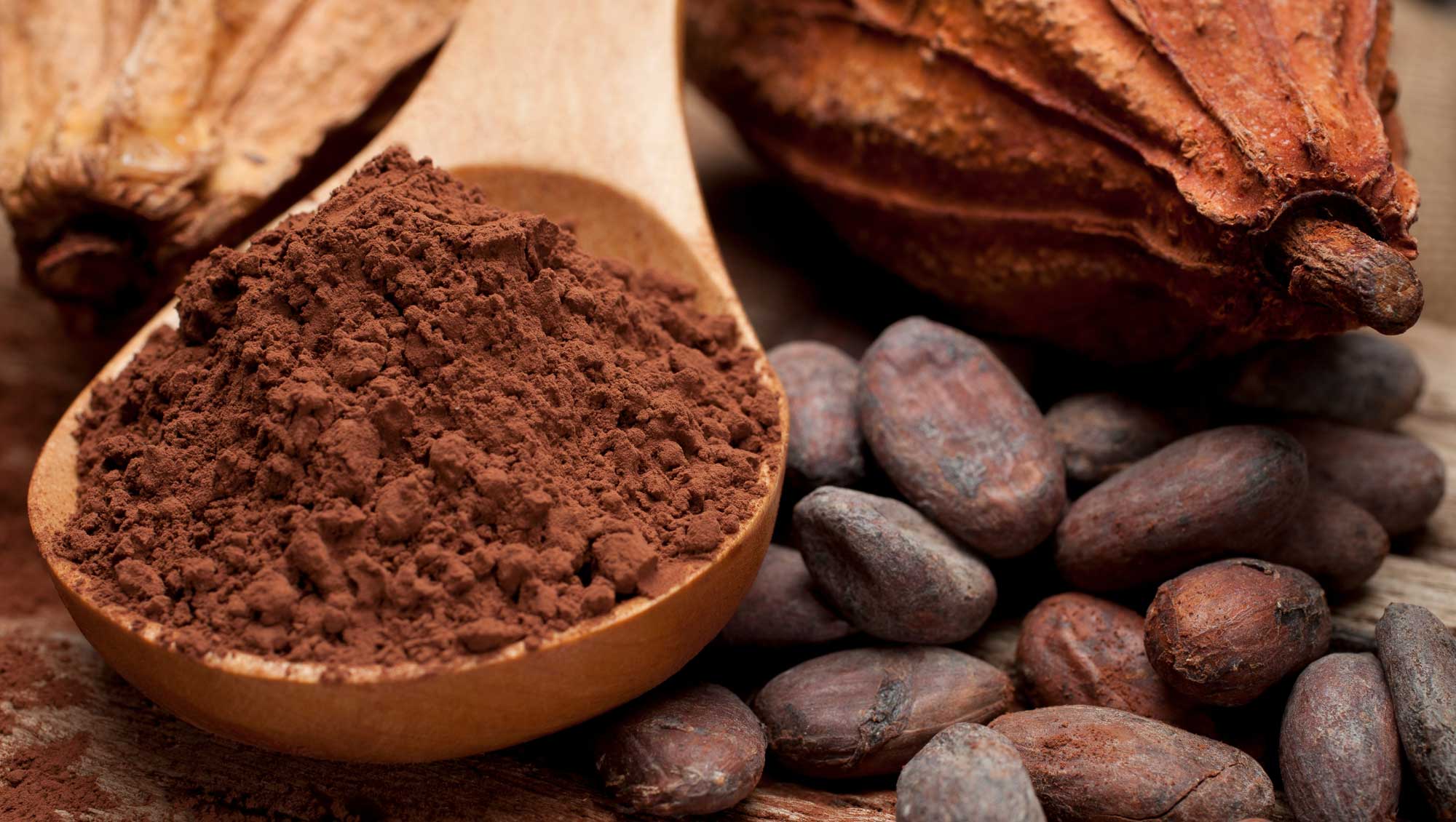 Cocoa Pulse Records and Speculations: an Overview of Global Markets - Ampersand ...